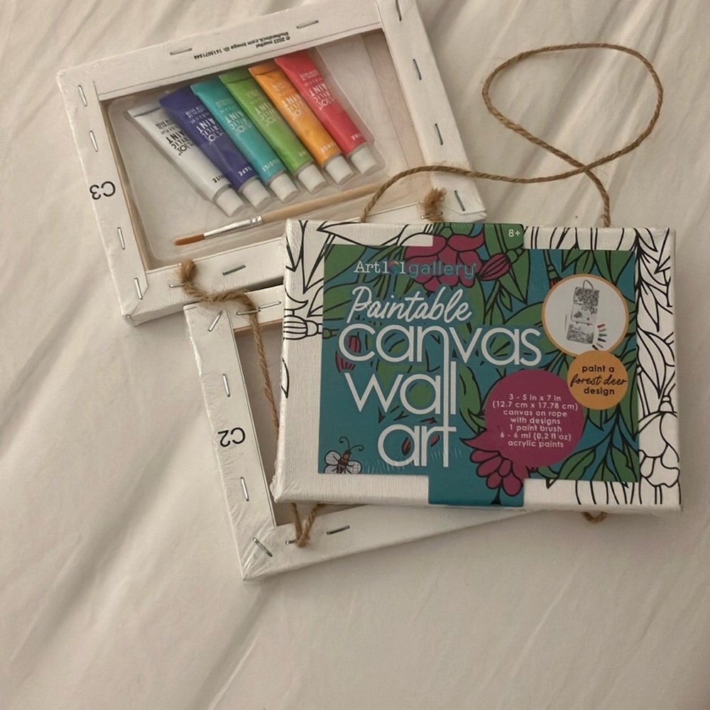 Paintable Canvas Wall Art Set with Paints